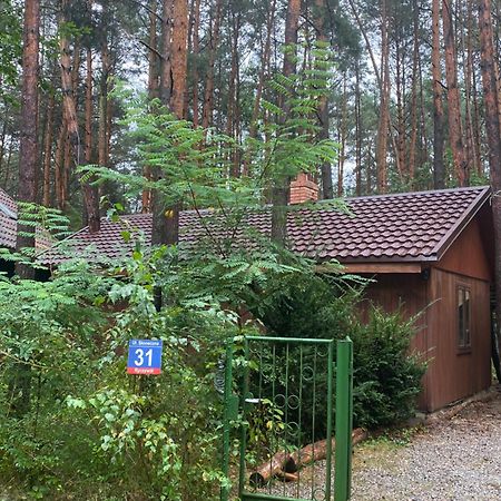 Przytulny Domek W Lesie Blisko Rzeki Ryczywol  Zewnętrze zdjęcie