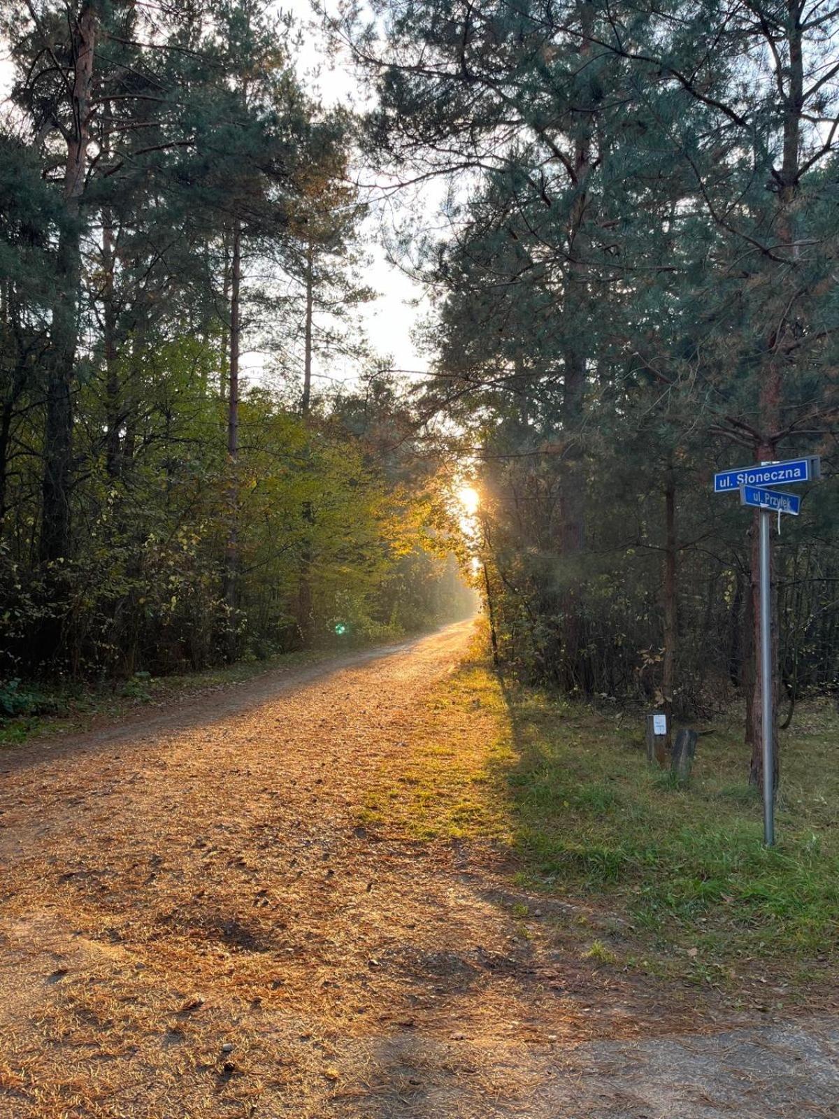 Przytulny Domek W Lesie Blisko Rzeki Ryczywol  Zewnętrze zdjęcie