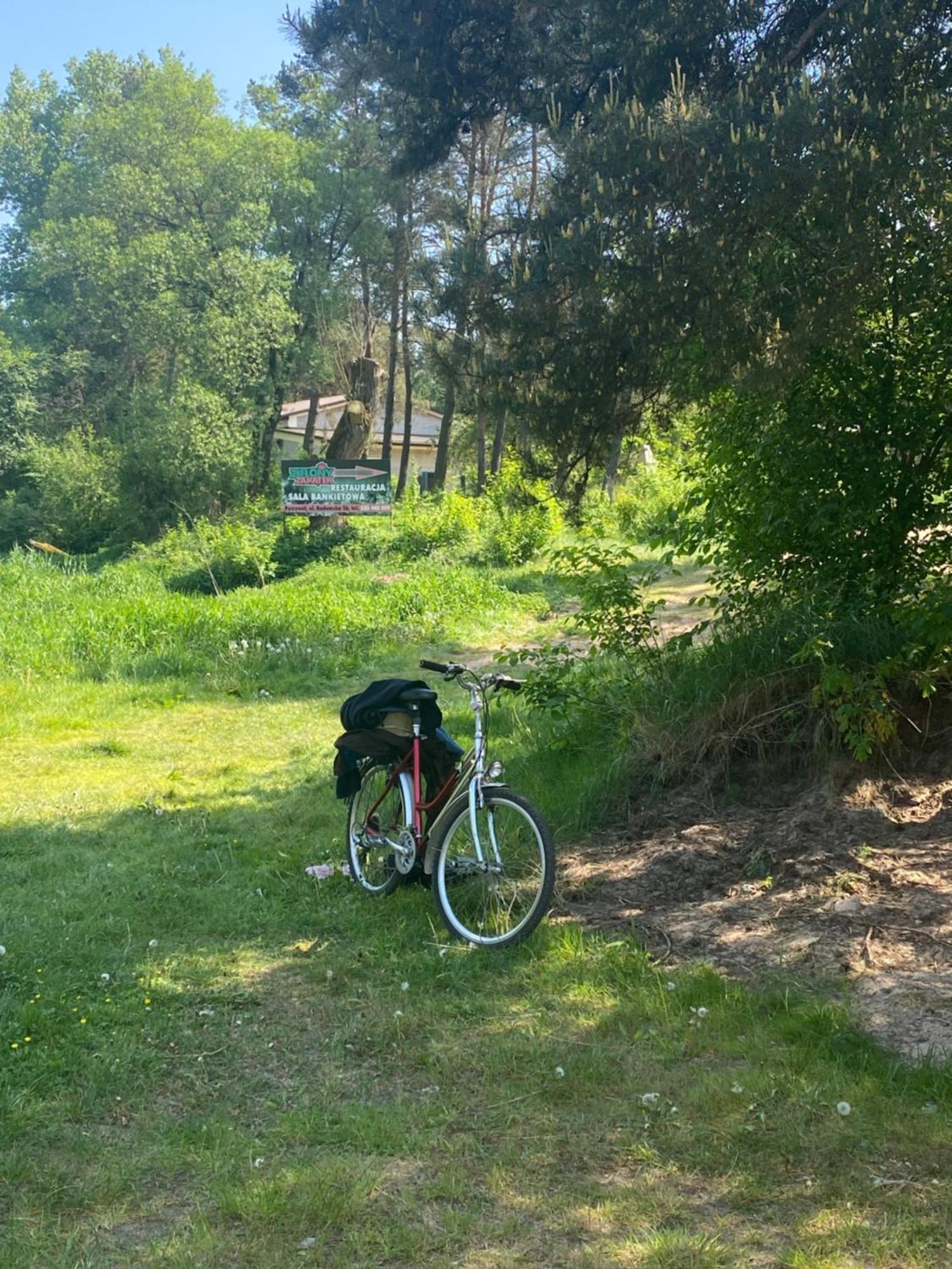 Przytulny Domek W Lesie Blisko Rzeki Ryczywol  Zewnętrze zdjęcie
