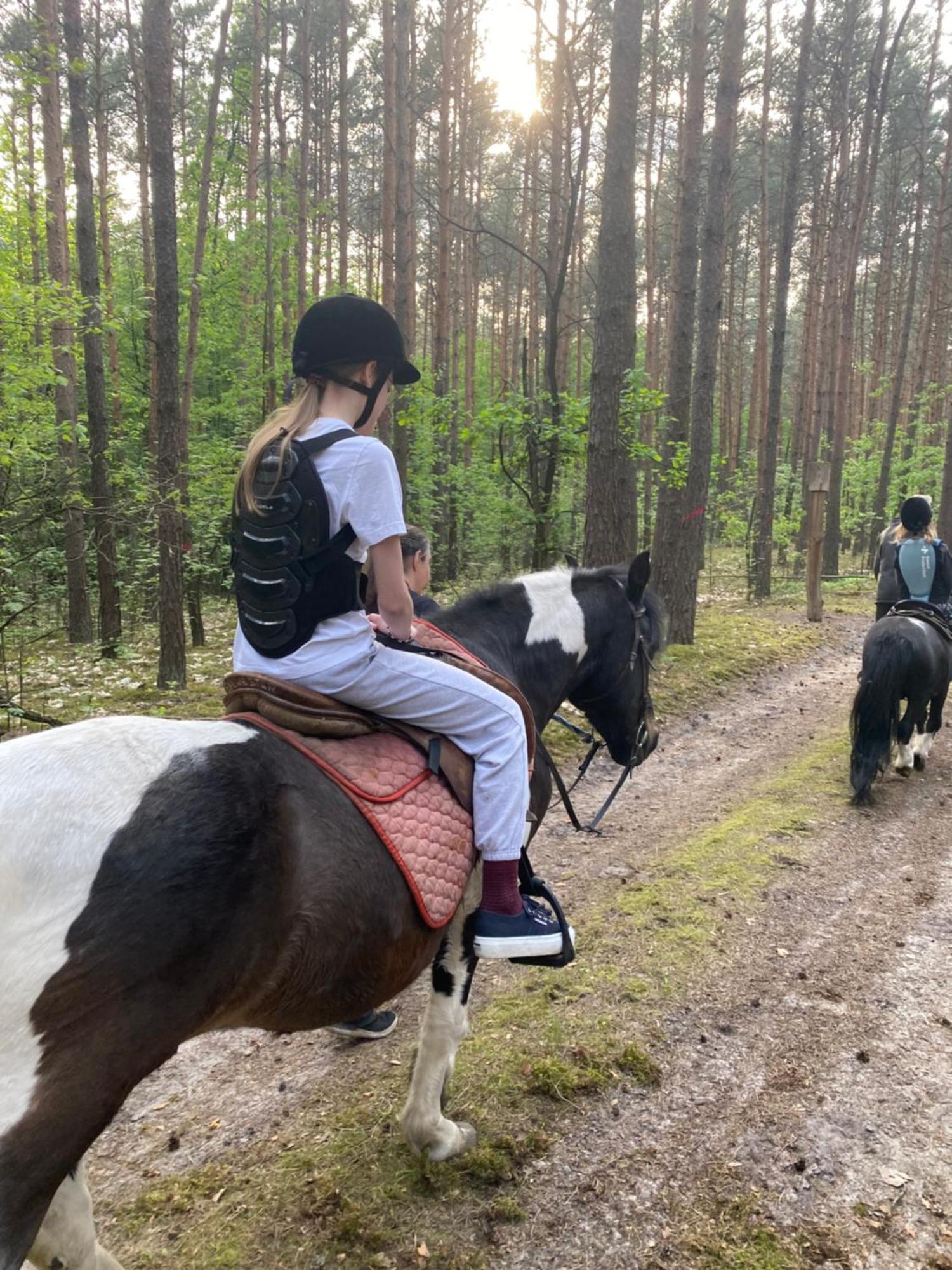 Przytulny Domek W Lesie Blisko Rzeki Ryczywol  Zewnętrze zdjęcie